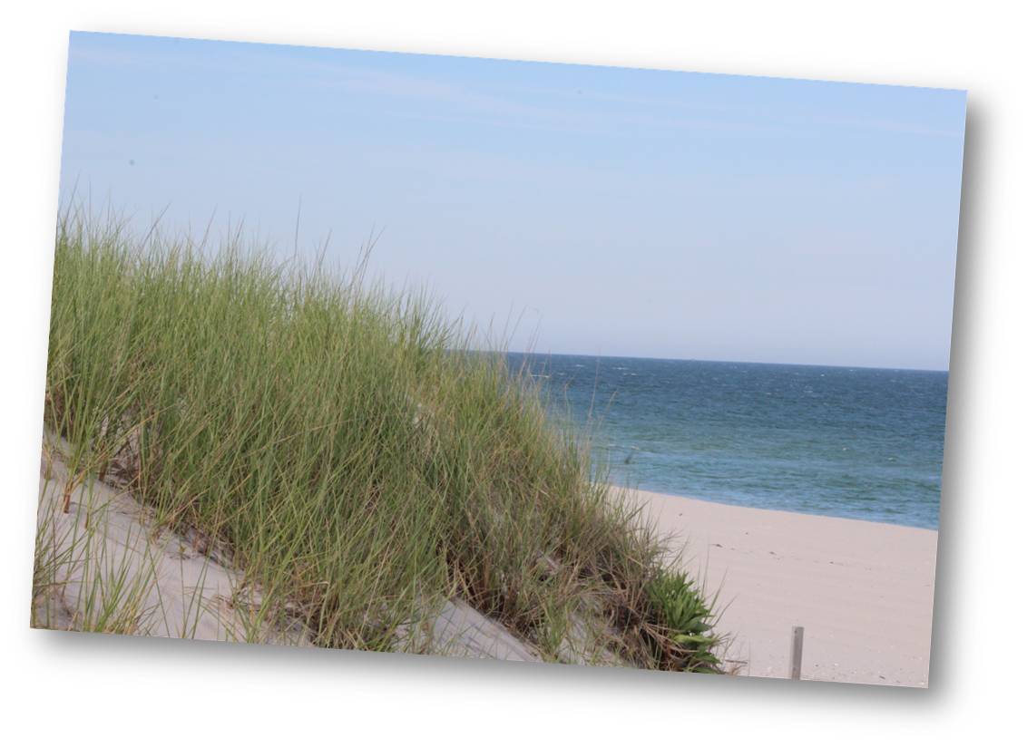 LBI New Construction | Long Beach Island NJ Real Estate | LBI Real Estate Market LBI New Construction | Long Beach Island NJ Real Estate | LBI Real Estate Market